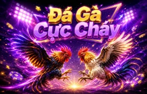 ohsotravelous đá gà